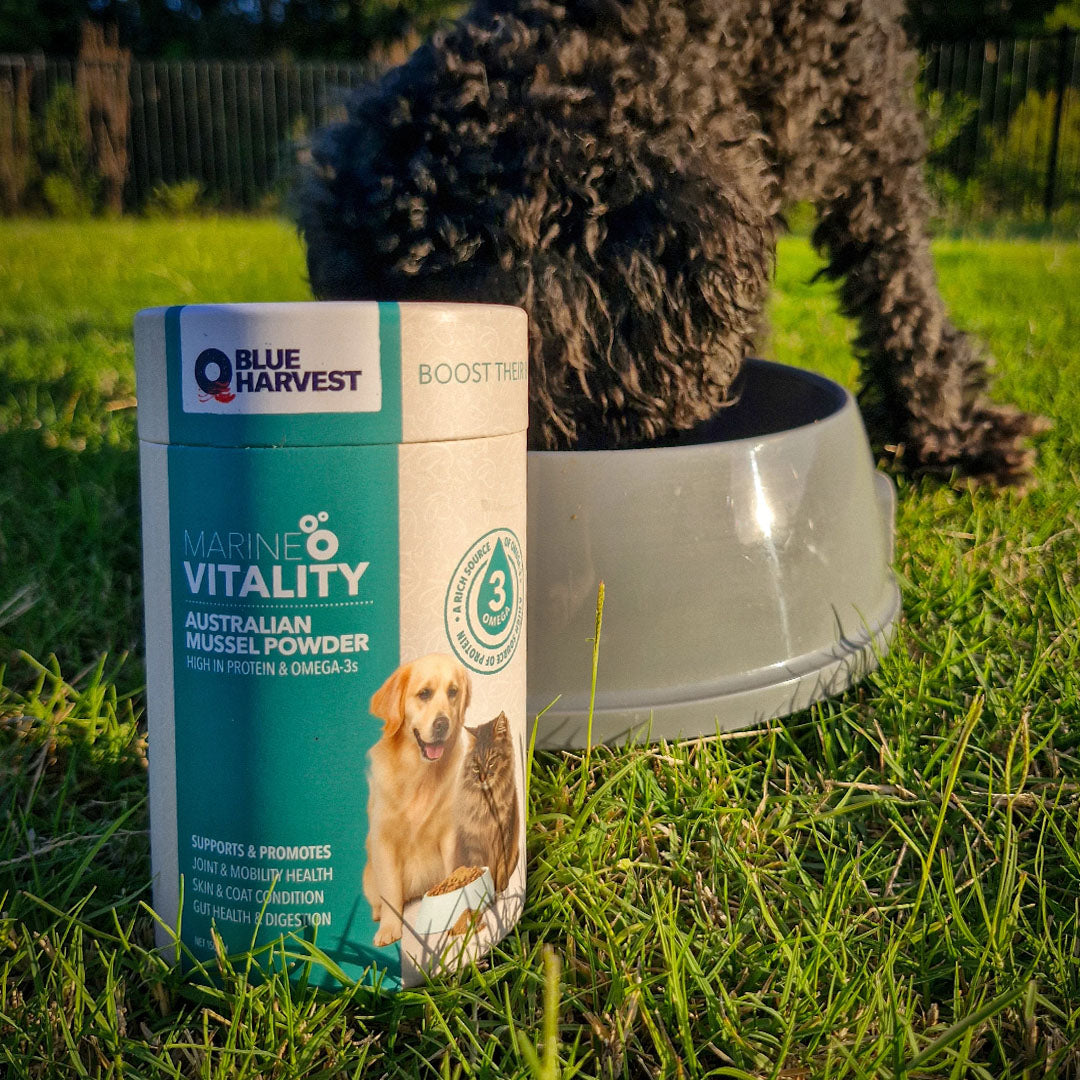 Marine Vitality - The Only Mussel Powder Grown and Made in Australia. 150g.