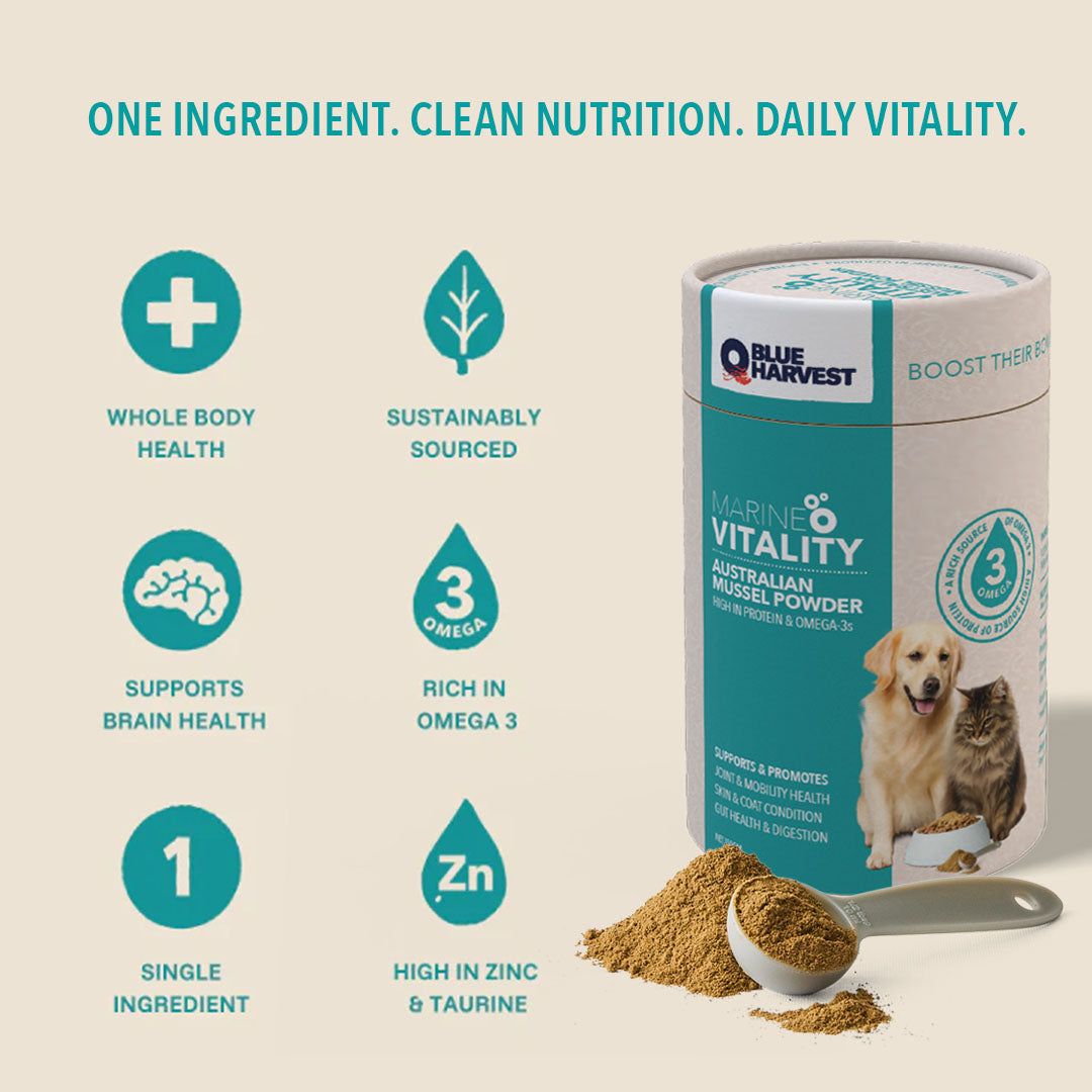 Marine Vitality - The Only Mussel Powder Grown and Made in Australia. 150g.