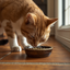 Marine Vitality Mussel Powder For Cats - 150g