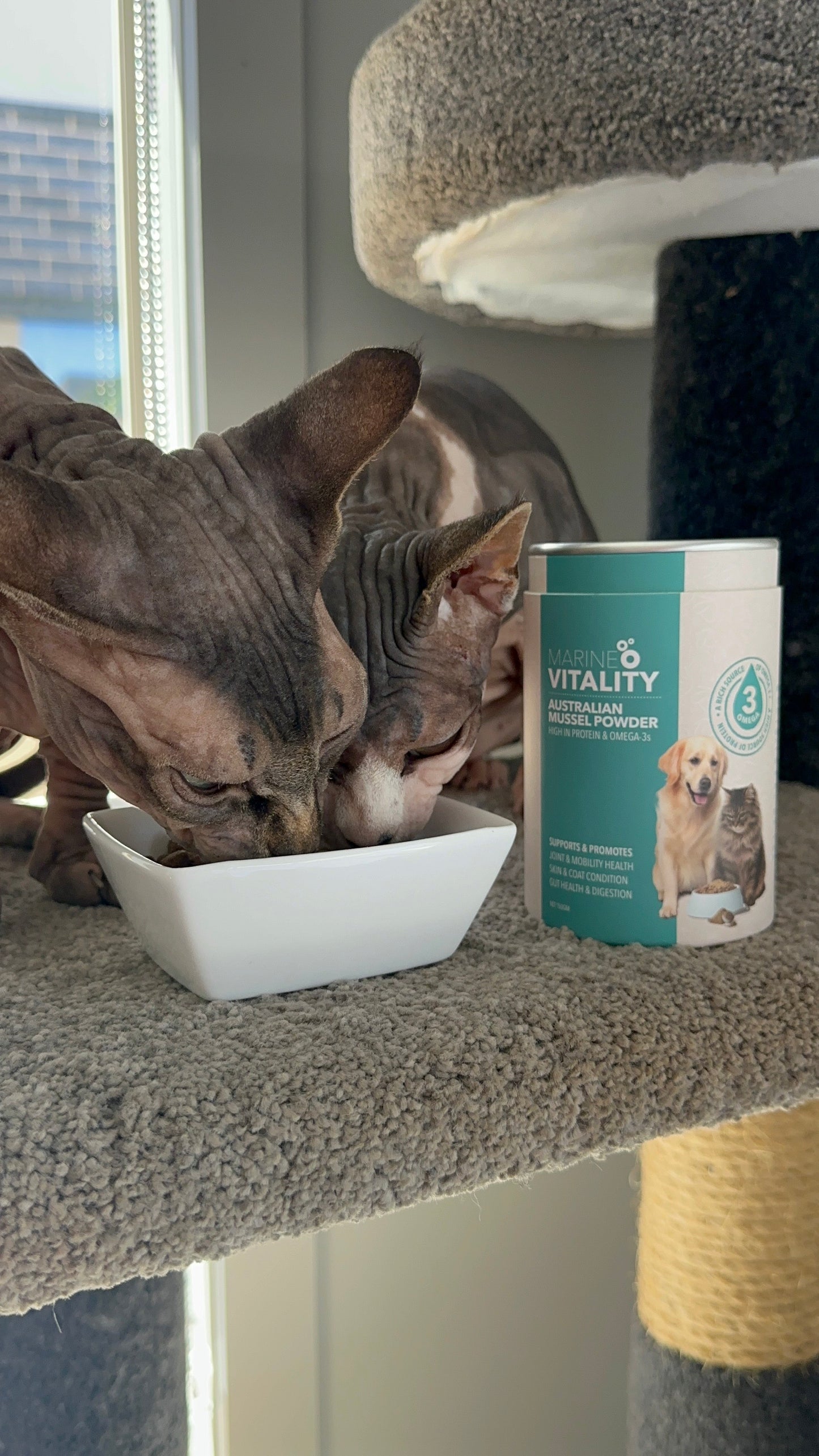 Marine Vitality Mussel Powder For Cats - 150g