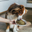 Marine Vitality Mussel Powder For Dogs - 150g