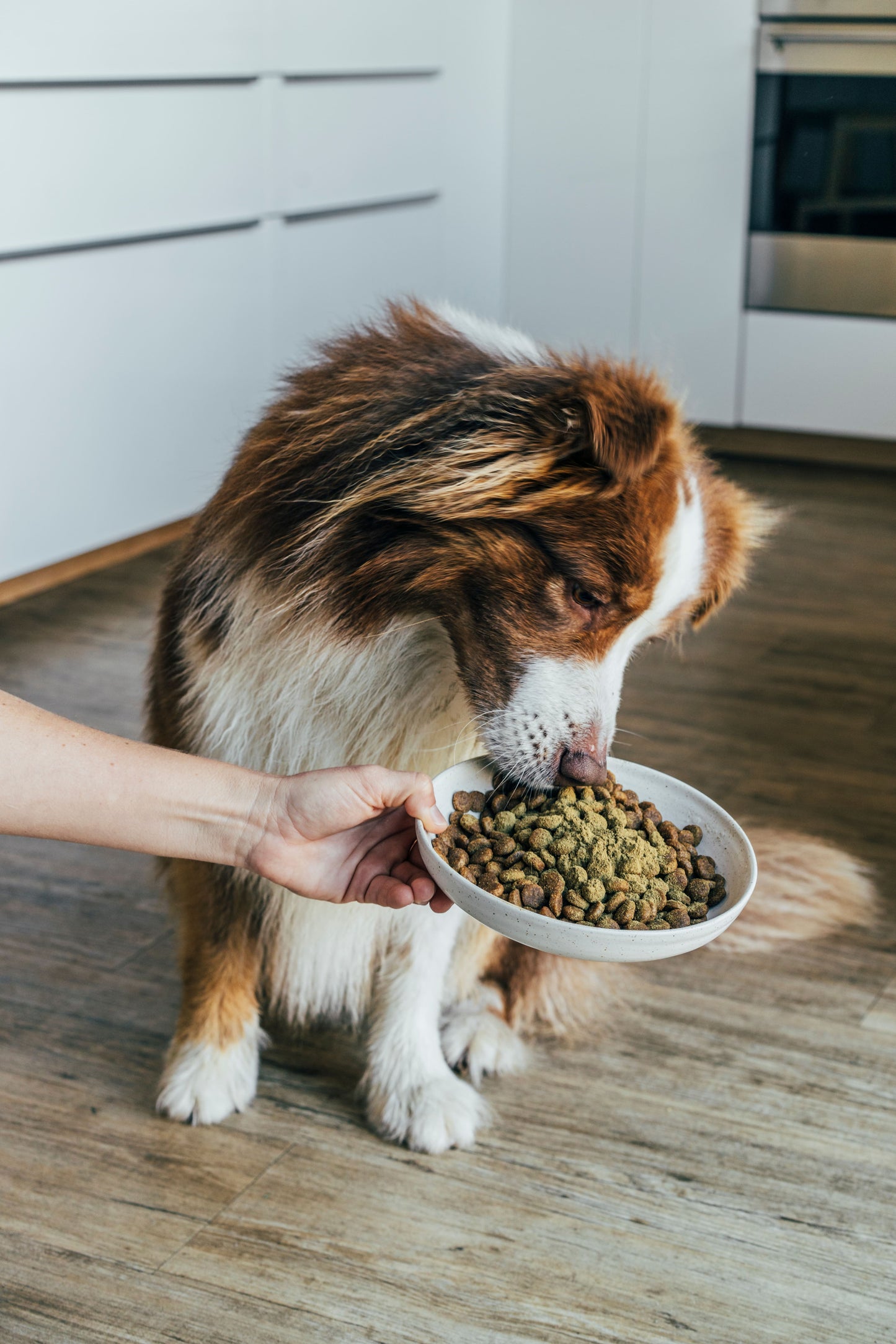 Marine Vitality Mussel Powder For Dogs - 150g