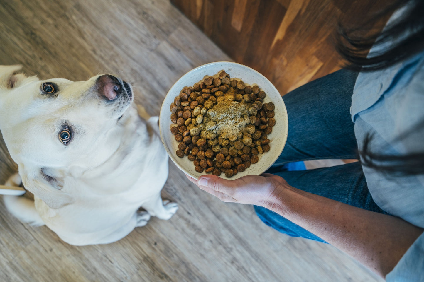Marine Vitality Mussel Powder For Dogs - 150g