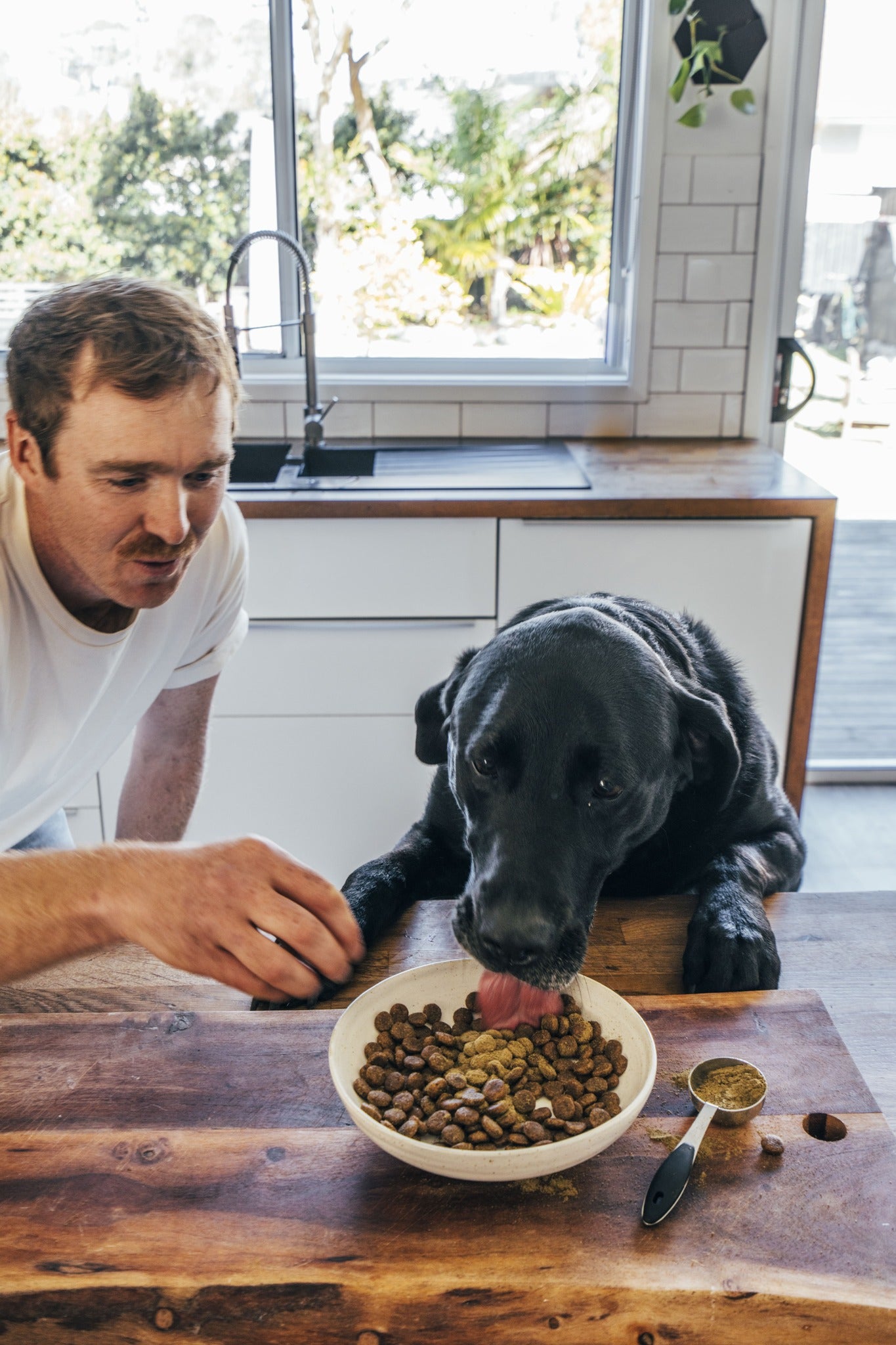 Marine Vitality Mussel Powder For Dogs - 150g