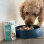 Marine Vitality Mussel Powder For Dogs - 150g