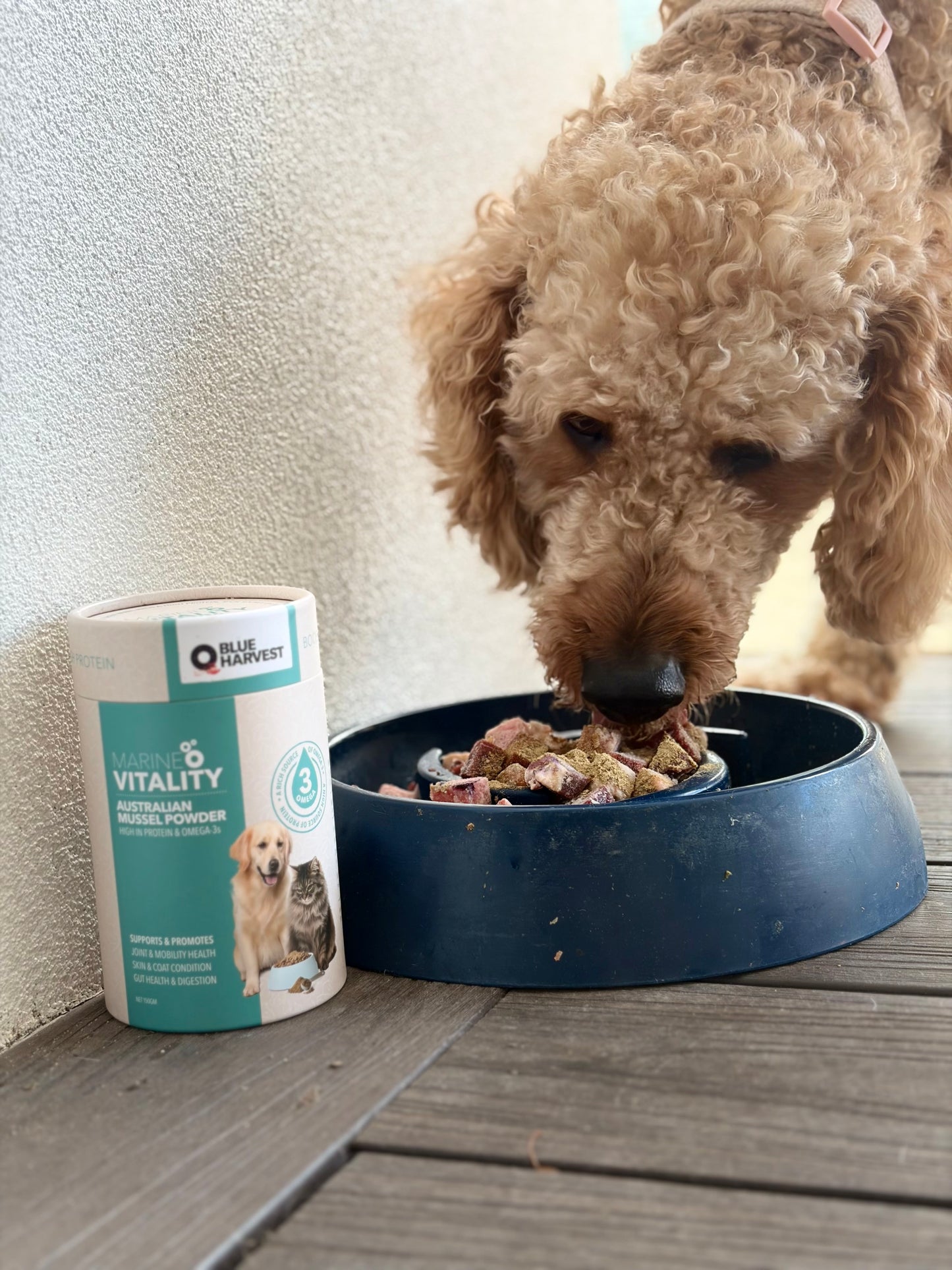 Marine Vitality Mussel Powder For Dogs - 150g