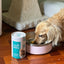 Marine Vitality Mussel Powder For Dogs - 150g