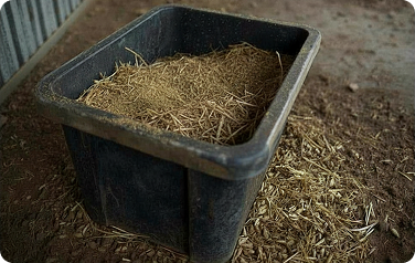 Blend into hard feed, chaff, or hay