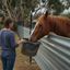 Marine Vitality Mussel Powder — For Horses & Ponies. 150g.